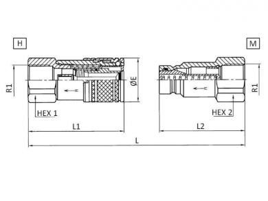 BG1/ DN6 Steckkupplung Stecker flachdichtend