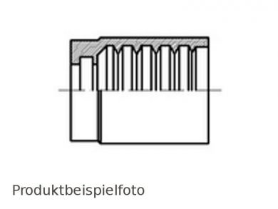 DN6-Pressfassung 1SN 2SN - Edelstahl