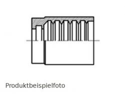 1.041-16-16 V4A Edelstahl Schlauchnippel DKL DN 25 36x2,0 online kaufen -  179385 - RAUH Hydraulik